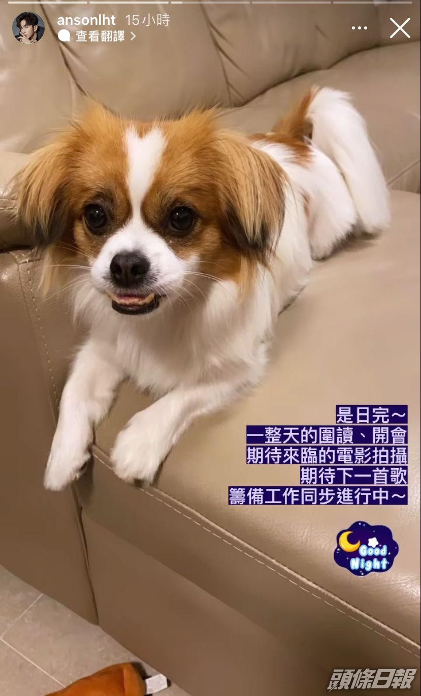 教主工作完見到愛犬等候他回家特別開心。